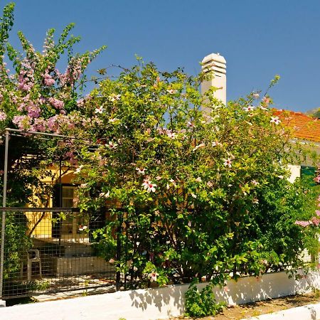 House With Garden Near The Sea Agia Efimia Exterior foto