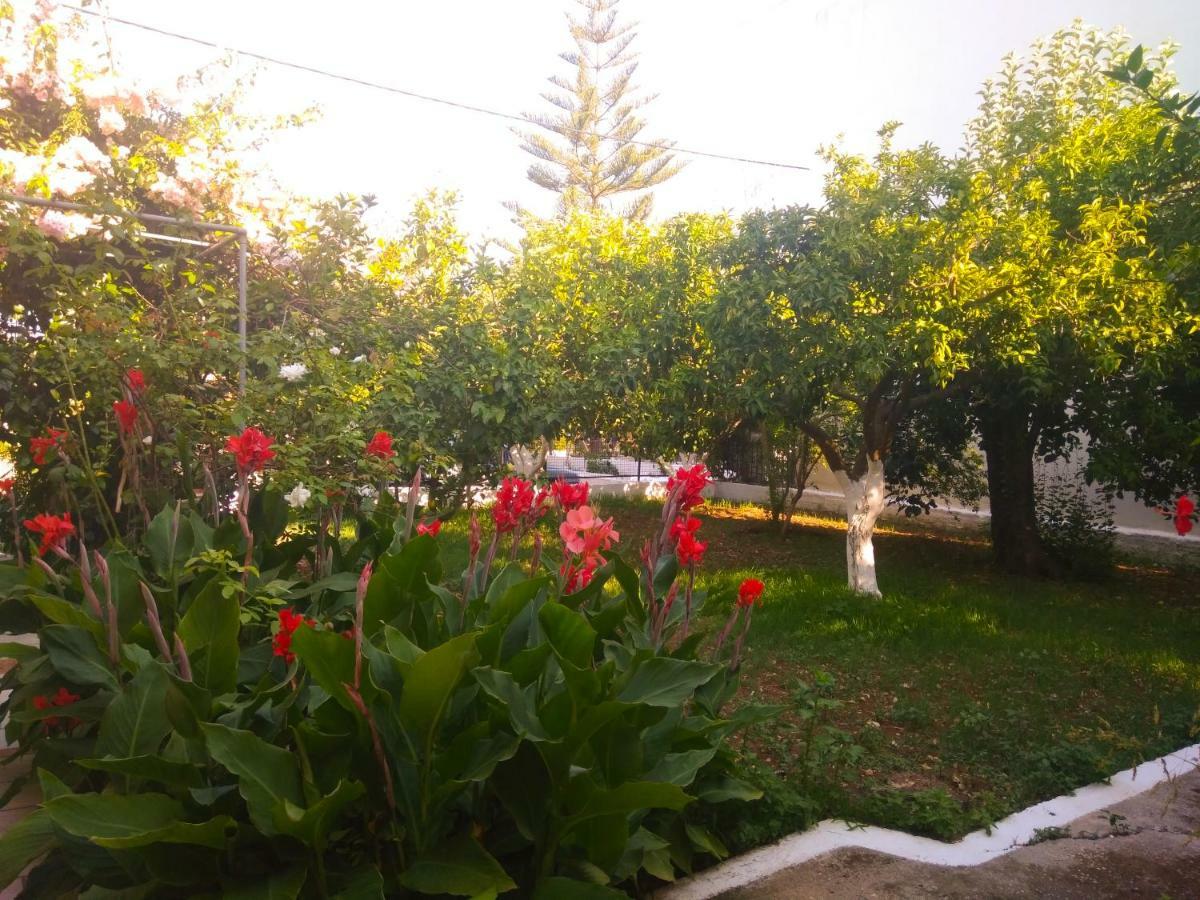 House With Garden Near The Sea Agia Efimia Exterior foto