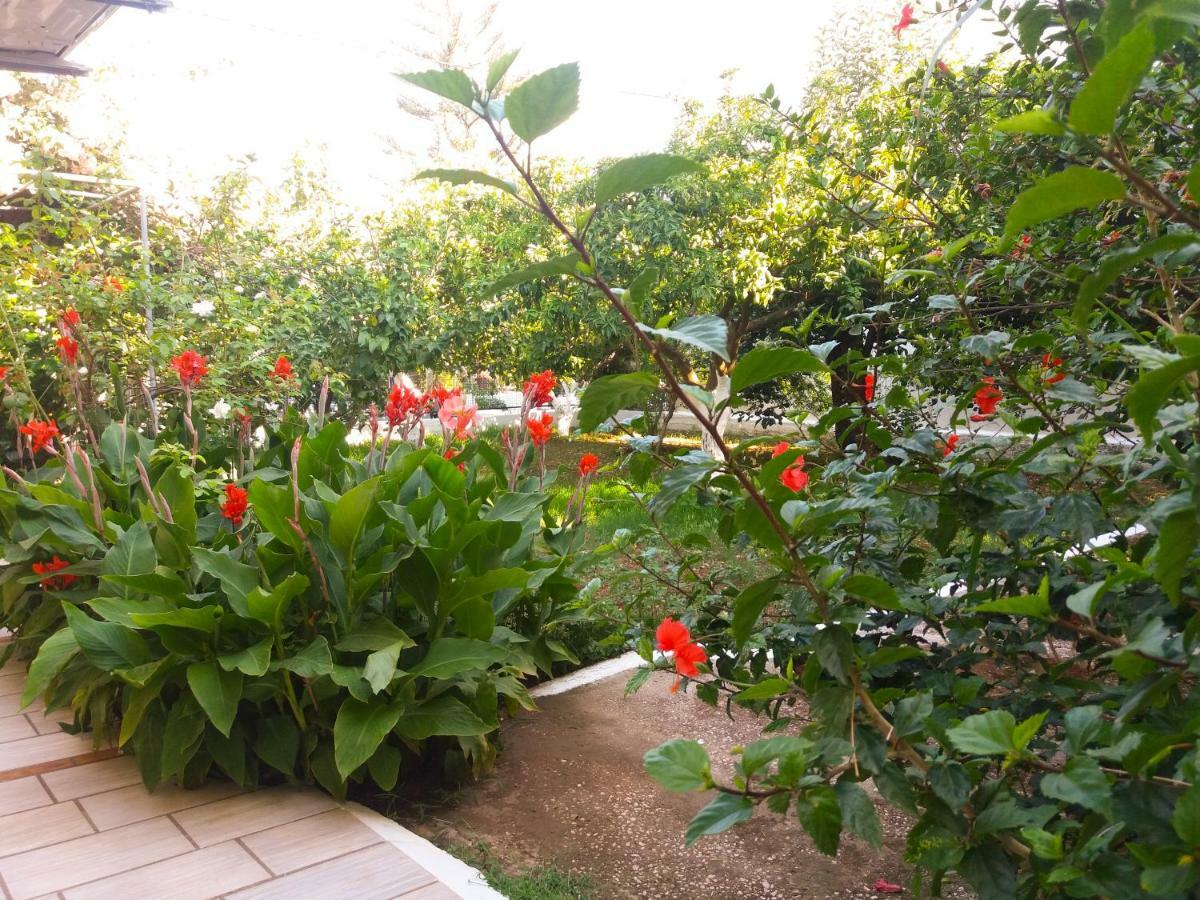 House With Garden Near The Sea Agia Efimia Exterior foto