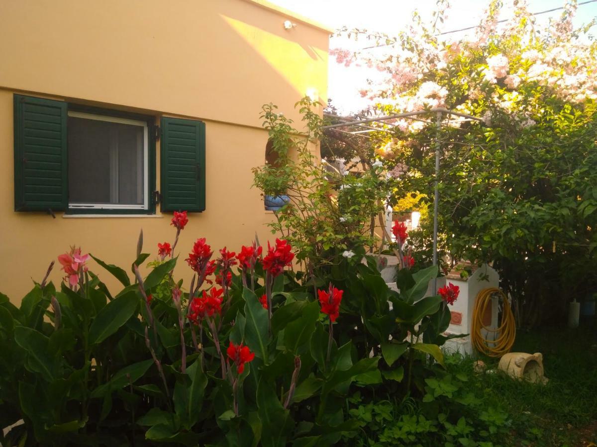 House With Garden Near The Sea Agia Efimia Exterior foto