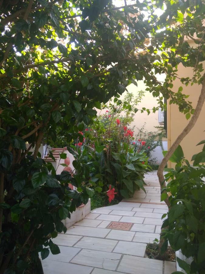House With Garden Near The Sea Agia Efimia Exterior foto